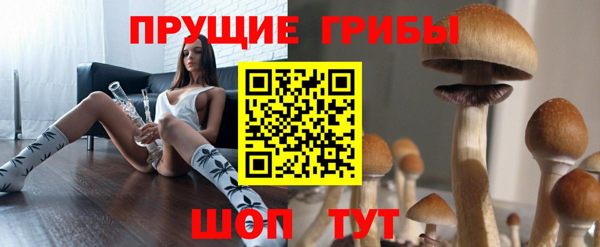 Псилоцибиновые грибы прущие грибы  где купить наркоту  Энгельс  Вход с VPN 
